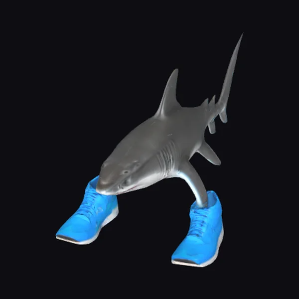 Shark in Blue Sneakers