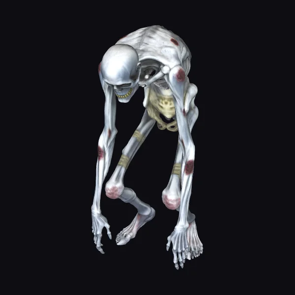 Zombie Skeleton Creature