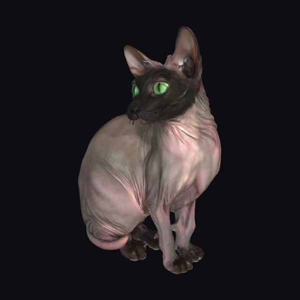 Hairless Feline Creature