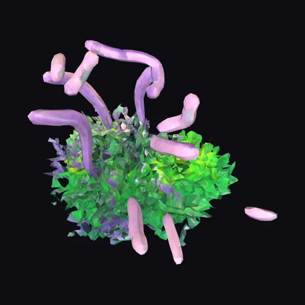 Green Purple Bacterial Growth
