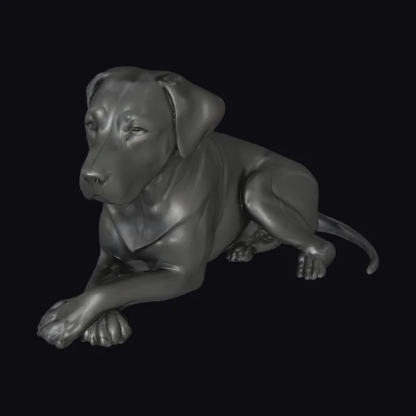 Black Labrador Mix Dog