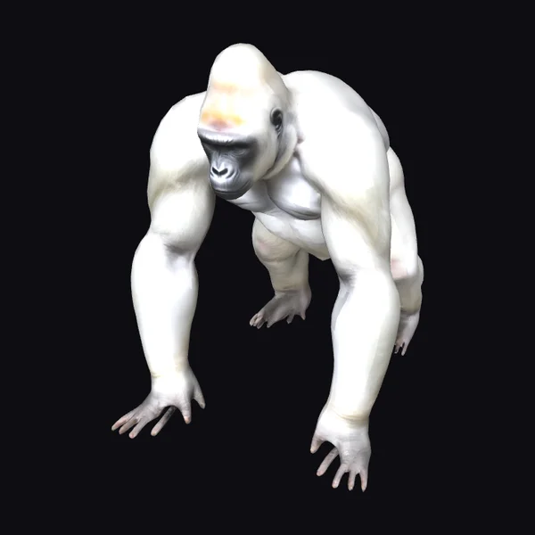 Albino Gorilla A-Pose