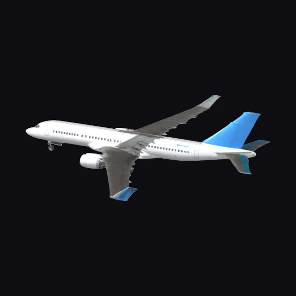 Passenger Airplane in Flight