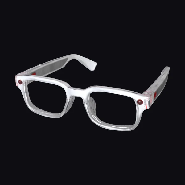 Cyber Vision Glasses