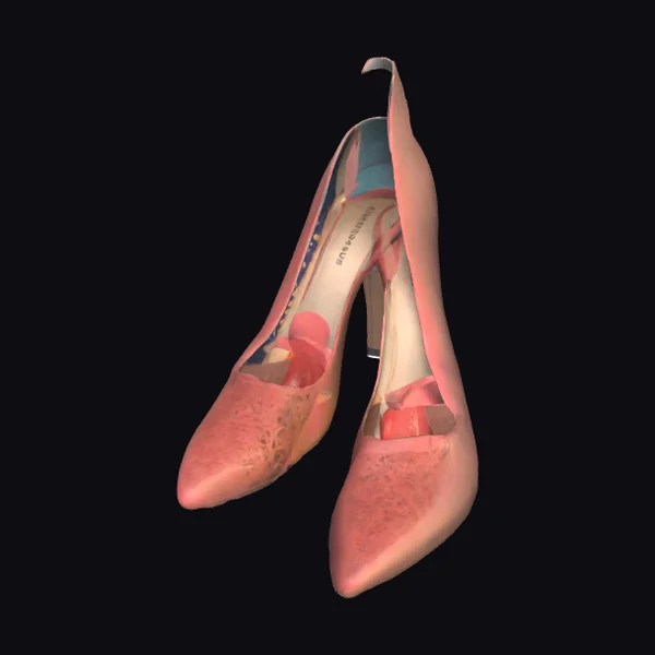 Pink High Heel Shoes