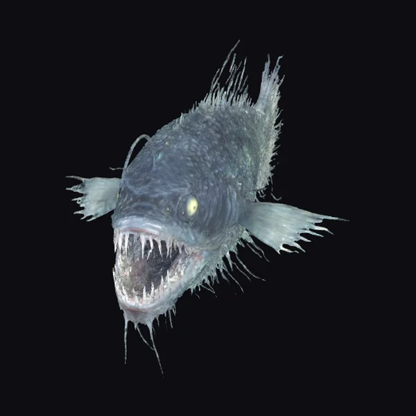 Fierce Anglerfish Head