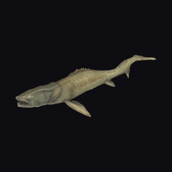 Ancient Fish Skeleton