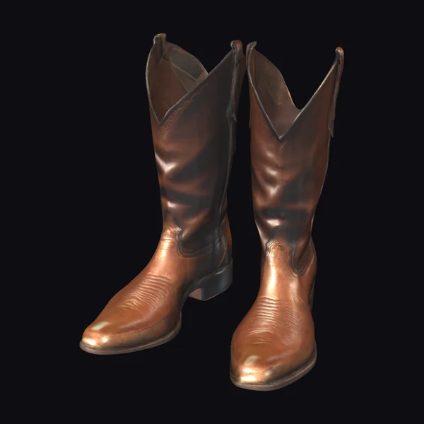 Brown Leather Cowboy Boots