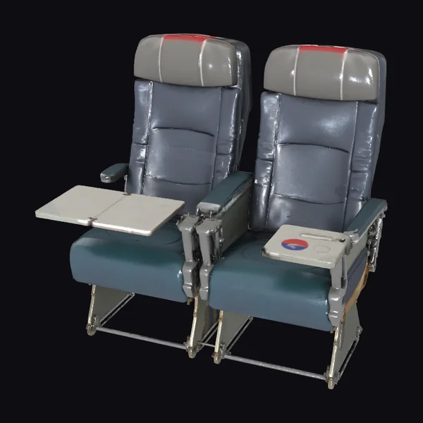 Airplane Seat Duo