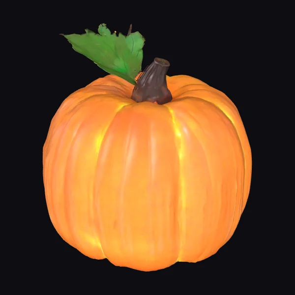 Autumn Harvest Pumpkin