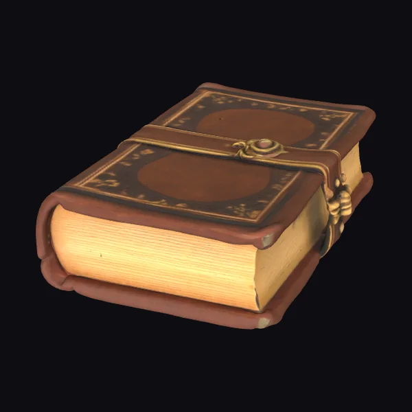 Hollow Leather Bound Book