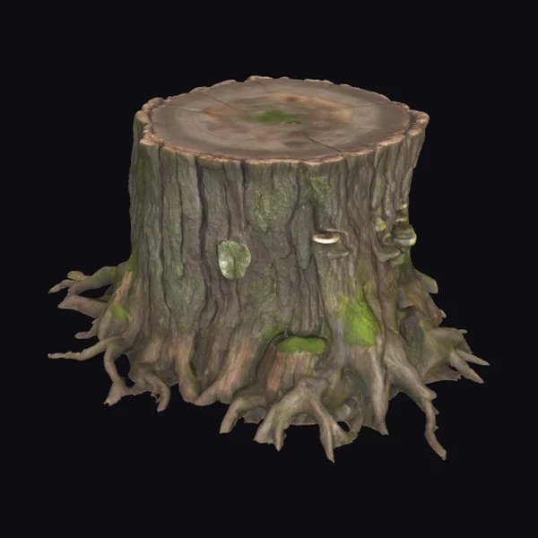 Tree Stump with Roots
