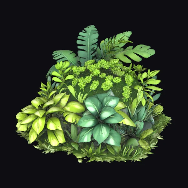 Lush Green Tropical Foliage