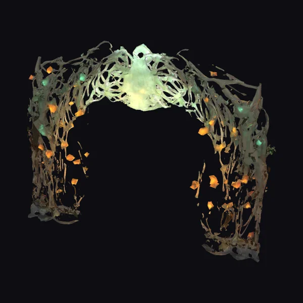 Alien Voronoi Archway