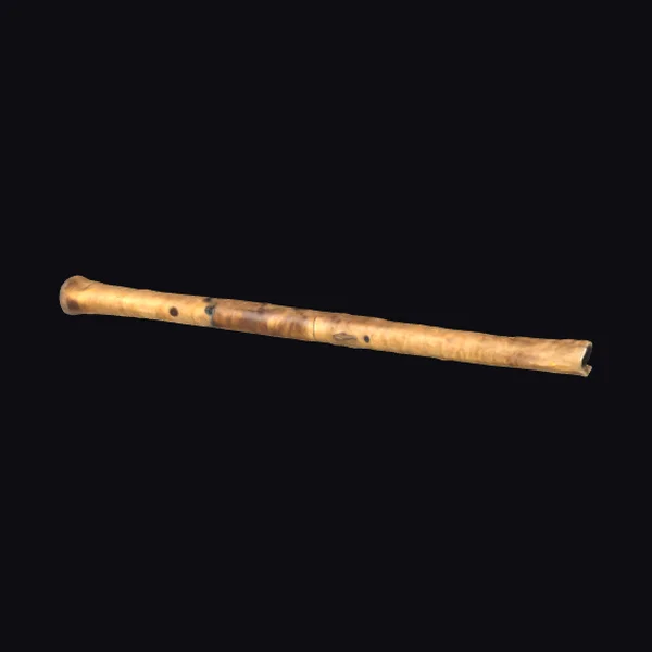 Ancient Bone Flute Instrument