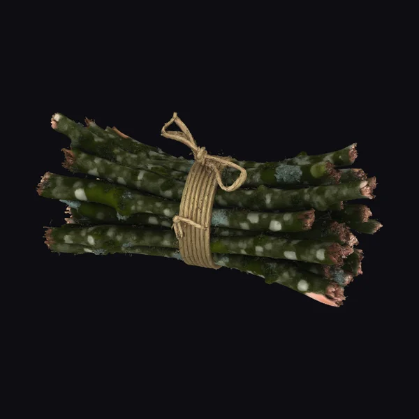 Tied Asparagus Spears