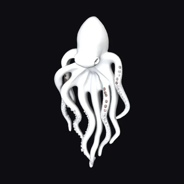 Elegant White Octopus
