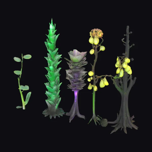 Alien Spineleaf Columnar Plant