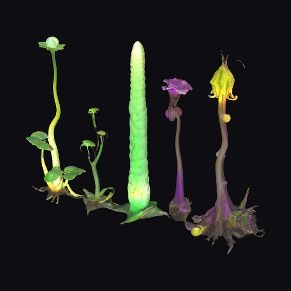 Alien Spineleaf Columnar Plant