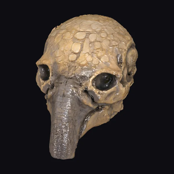 Alien Skull Artifact