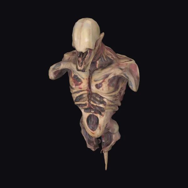 Alien Creature Torso