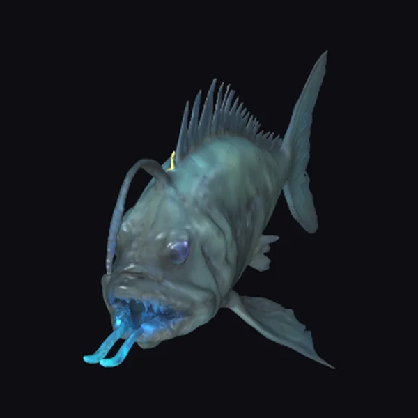 Deep Sea Angler Fish