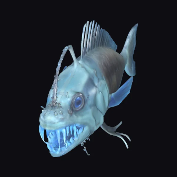 Deep Sea Angler Fish