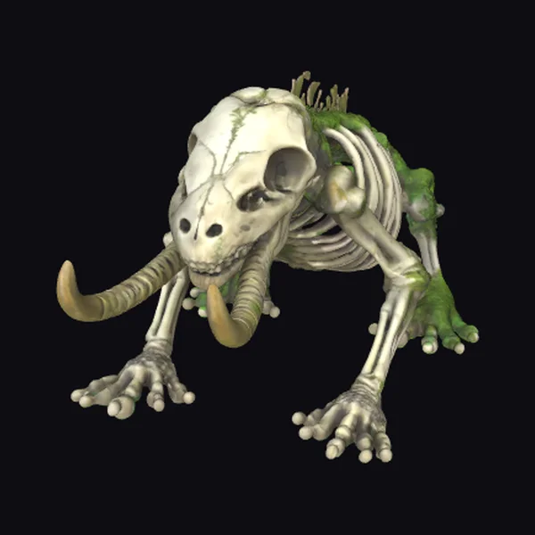 Alien Jungle Creature Skeleton