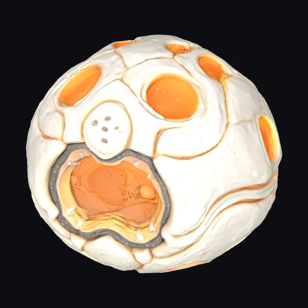 Alien Tissue Storage Orb