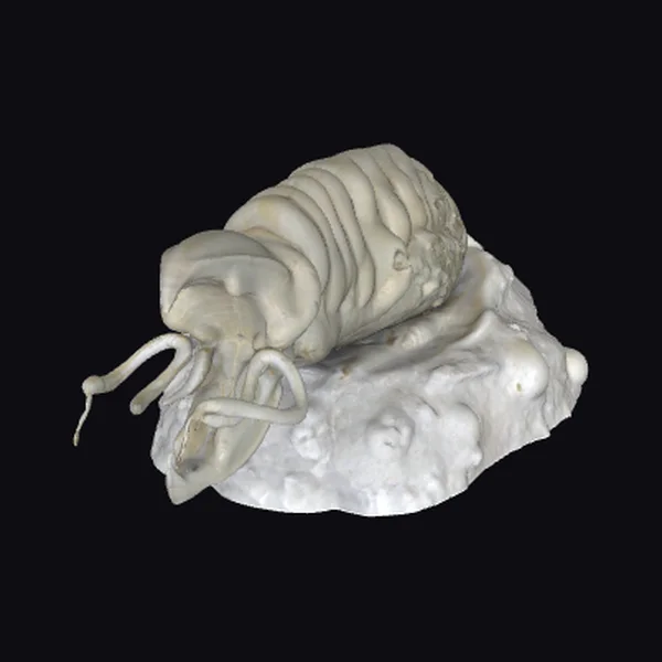 Ancient Alien Creature Sculpture