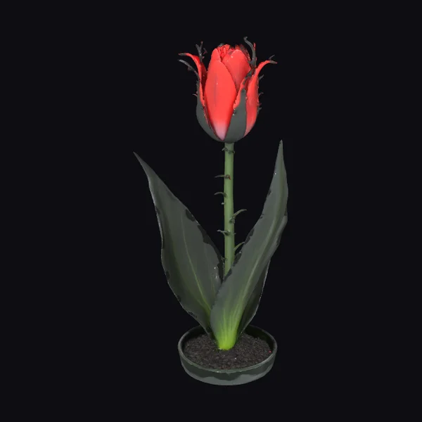 Alien Red Tulip Plant