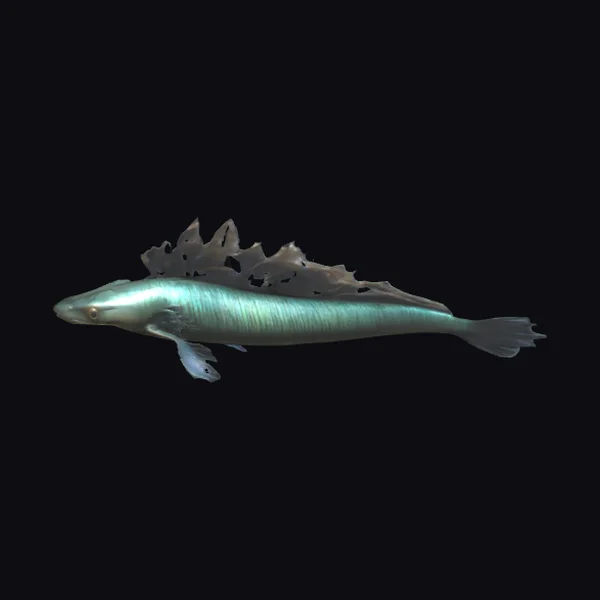 Alien Eel with Feathers