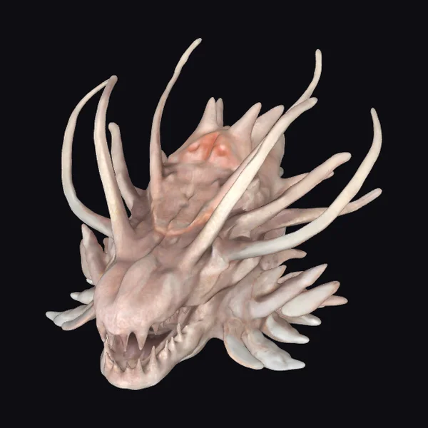 Alien Sea Creature Head
