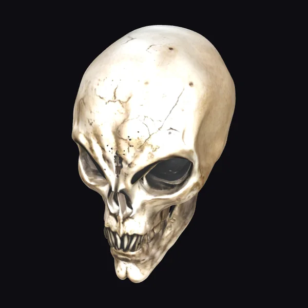 Alien Skull