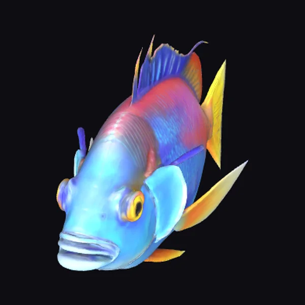 Vibrant Tropical Fish