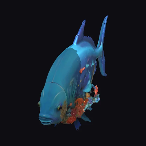 Blue Fish with Coral