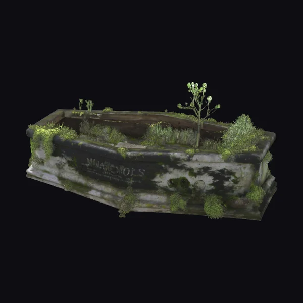 Overgrown Stone Sarcophagus