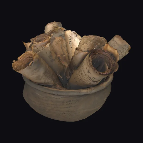 Ancient Parchment Scrolls