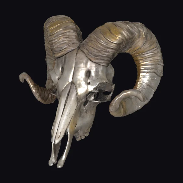 Curved Horn Skull