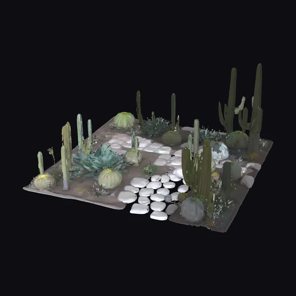 Desert Cactus Garden Scene