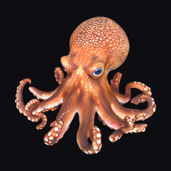Detailed Orange Octopus