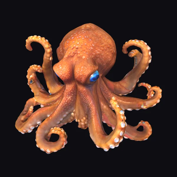 Detailed Orange Octopus
