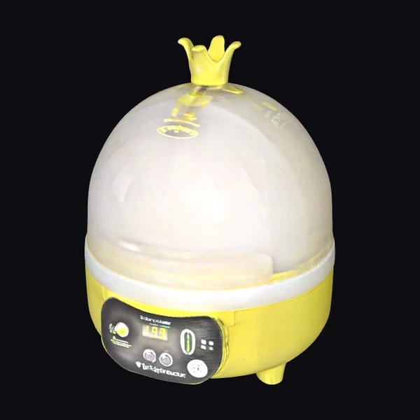 Yellow Egg Incubator