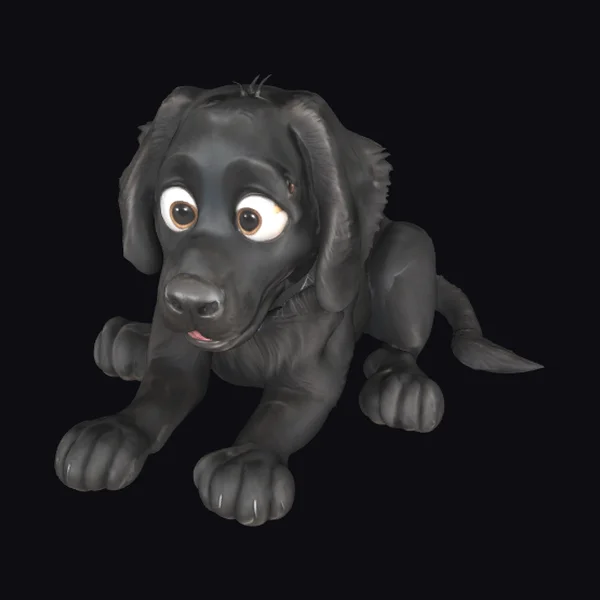 Black Flat-Coated Retriever