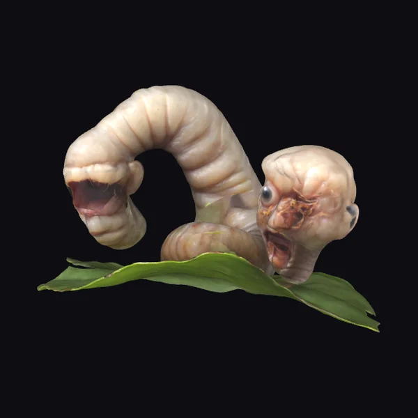 Worm with Human Heads