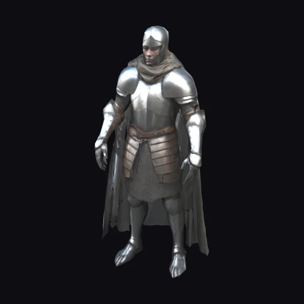 Armored Human Warrior
