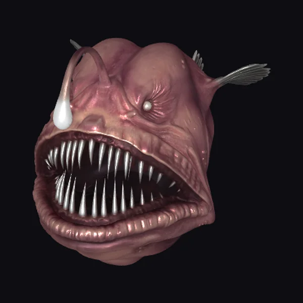 Angler Fish Head