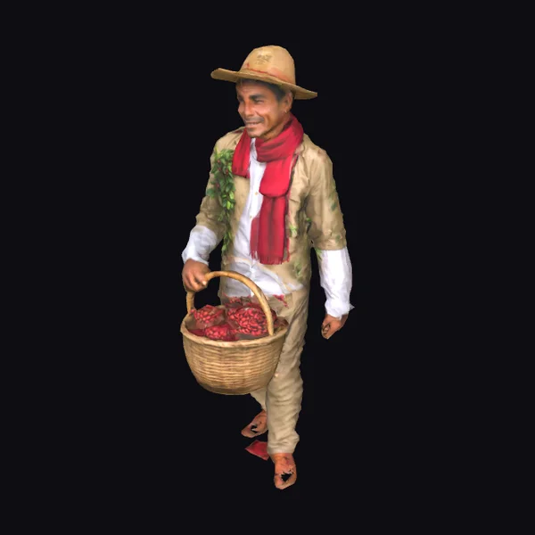 Colombian Coffee Picker