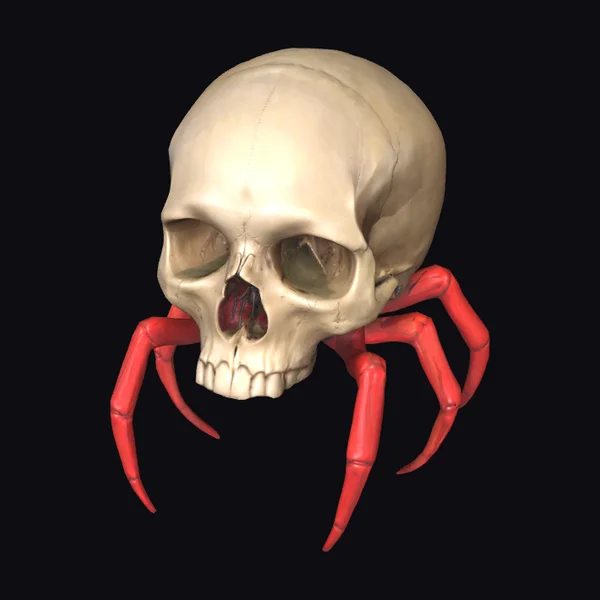 Arachnoskull