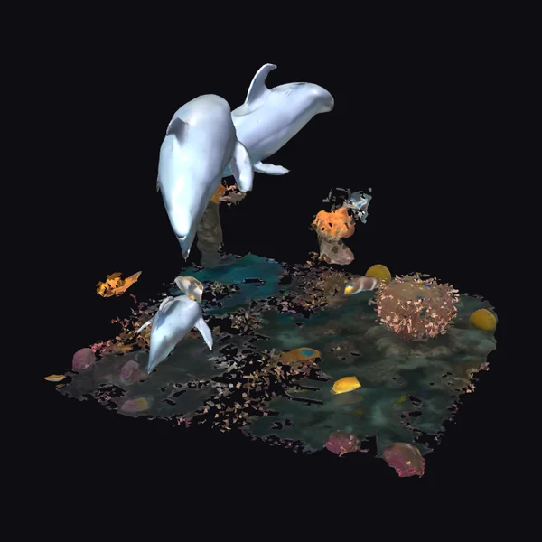 Dolphins on Reef Scene